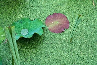 《忍者神龟：COWABUNGA合集》销量破100万 吃了600万个披萨